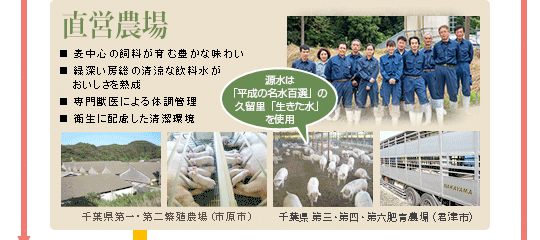 ���c�_��@�����́u�����̖����S�I�v�̋v�����u���������v���g�p�B